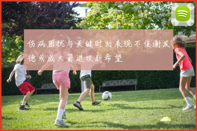 伤病困扰与关键时刻表现不佳谢泼德或成火箭进攻新希望