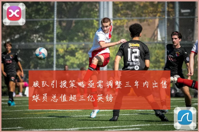 狼队引援策略亟需调整三年内出售球员总值超三亿英镑