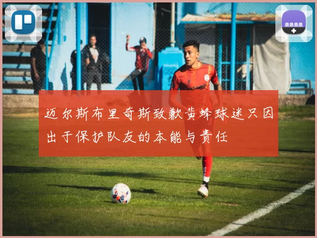 迈尔斯布里奇斯致歉黄蜂球迷只因出于保护队友的本能与责任